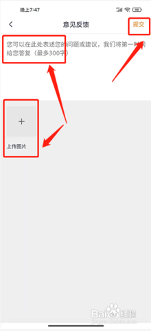 灯塔专业版2025最新版