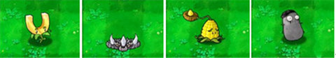 植物大战僵尸1经典版