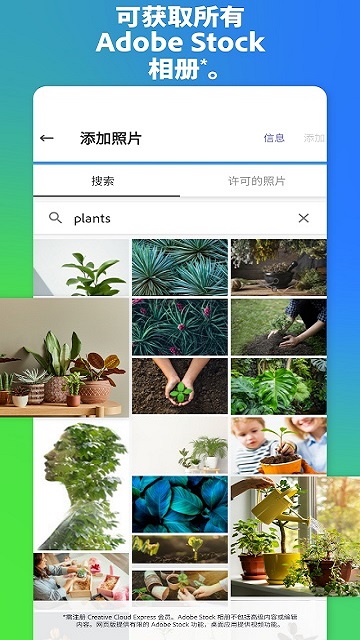 Adobe Express安卓版