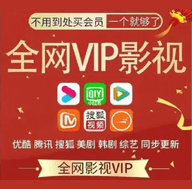 全网VIP影视2024最新版