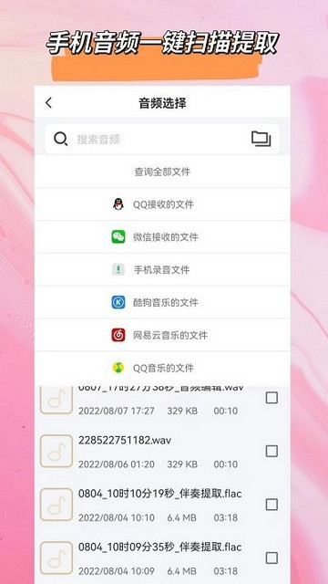 音频格式转换大师官方版