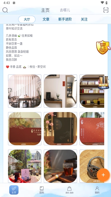 灰灰