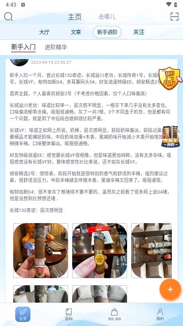 灰灰
