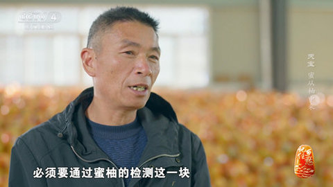 新际TV2026最新版