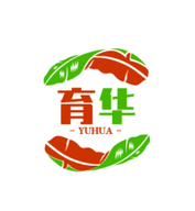 坚如磐石tv去广告版