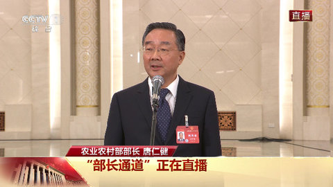 海外新视界