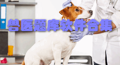 兽医题库软件合集