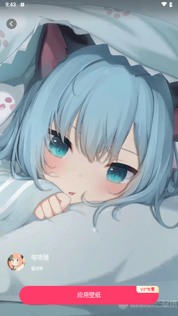番茄动态壁纸免费版