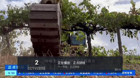 十八TV2024最新版