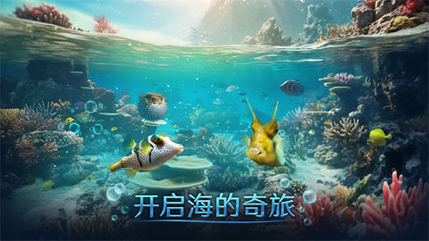70eb36ea77a646358cc0c1fc95cadadd