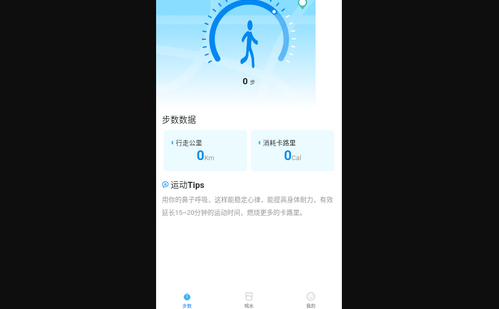 天天步数安卓版