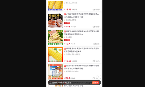 梨花熊最新版