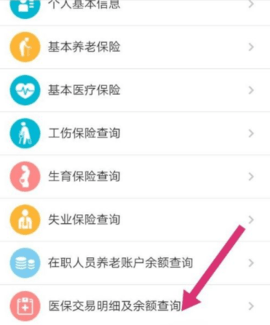 支付宝怎么查询医保卡余额 支付宝怎么查询养老保险缴费