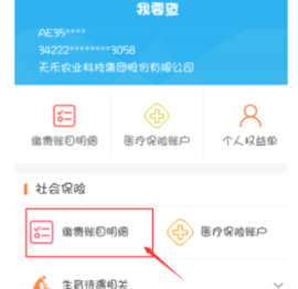 支付宝怎么查询医保卡余额 支付宝怎么查询养老保险缴费
