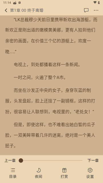 连情小说官方版