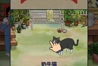 王蓝莓的机智生活免广告版