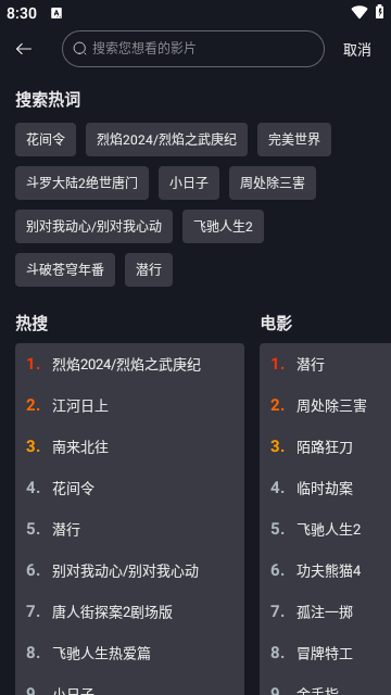 网飞猫