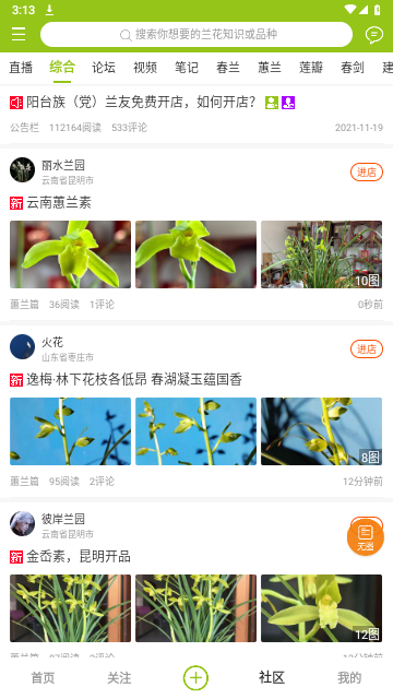中国兰花交易网