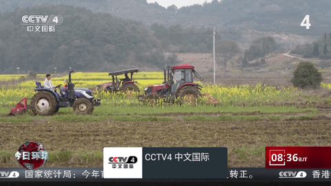 我的电视〇TV版