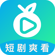 滨果大全安卓版