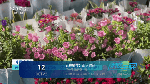 崩锅直播