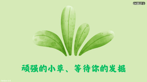 小草TV