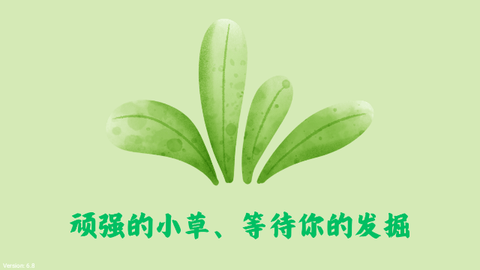 小草TV2024最新版