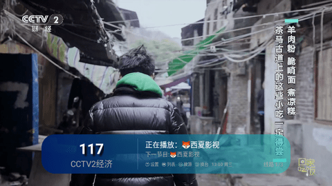 西夏TV0216
