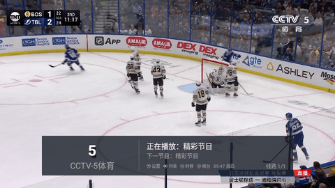 桃花TV