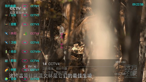 电视+6最新版2024