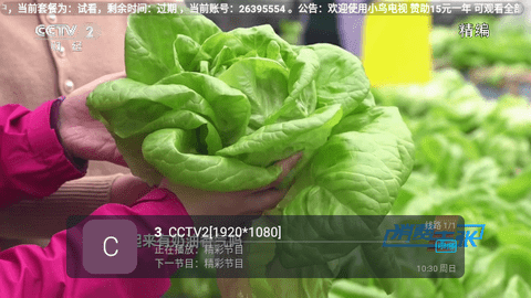小鸟电视