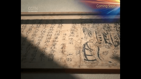 西夏TVP