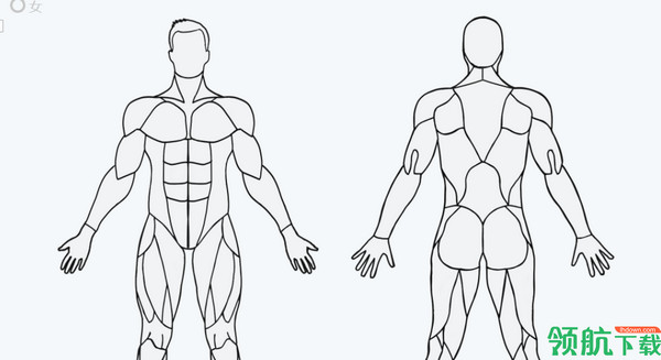 MuscleWiki手机版