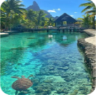 小岭3.0最新版2024