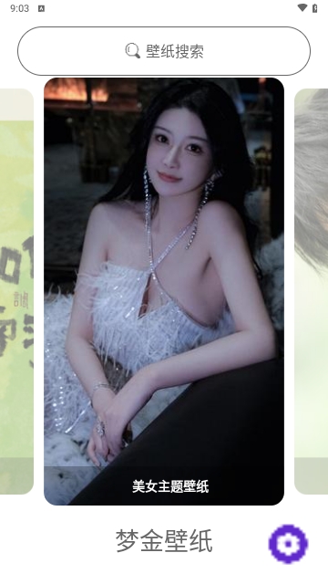 梦金壁纸