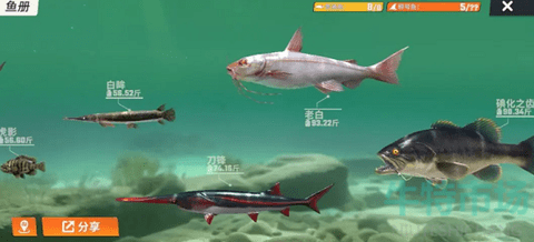 欢乐钓鱼大师无限体力版