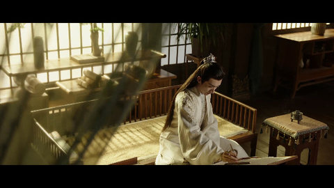 万能看TV去广告版
