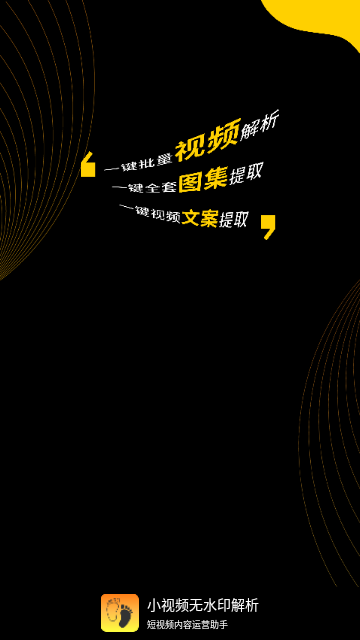 小视频无水印解析软件手机版