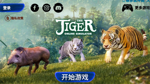 The Tiger