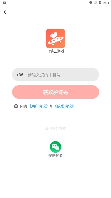 飞鸽云游戏