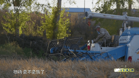黑软全网通TV