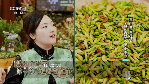 西夏TV0409
