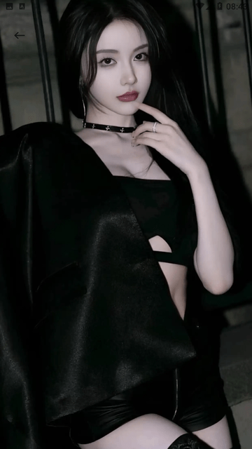蓝猫图库2024最新版