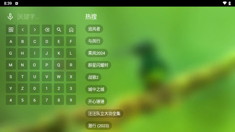 资阳影视去广告版