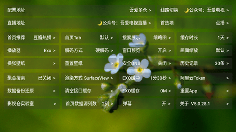 吾爱TV电视版