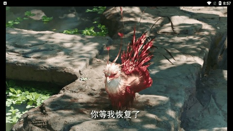 资阳影视