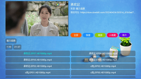 磁力追剧
