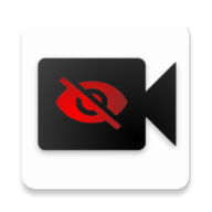 BVR Pro中文版