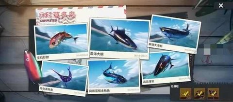 欢乐钓鱼大师T3新地图鱼类图鉴 T3新地图奇珍鱼典藏鱼汇总