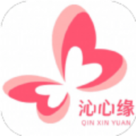 沁心缘小说免费版